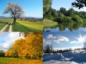Seasons of the year